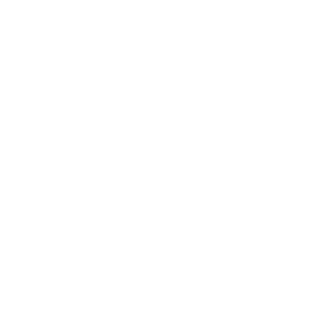 slash31173's emblem