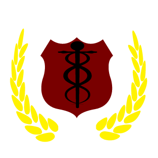 LucaskillAll15's emblem