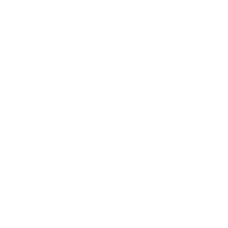 MFLA 77's emblem