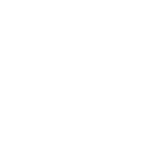 Palmolhe's emblem