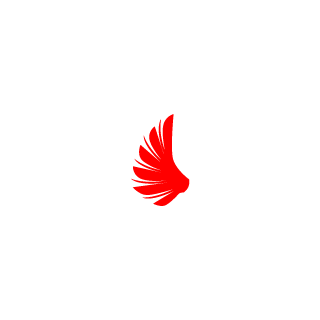 saseboy01's emblem