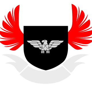 zAleezinN's emblem