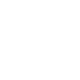 cheonni1107's emblem