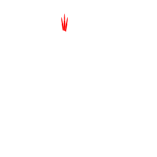 bran8121's emblem
