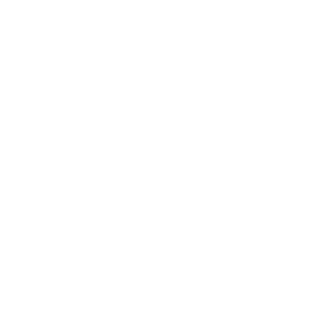 Hooligan543's emblem