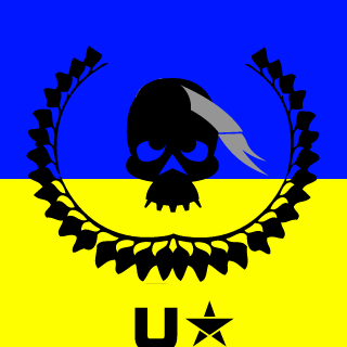 pirateBlackBear's emblem
