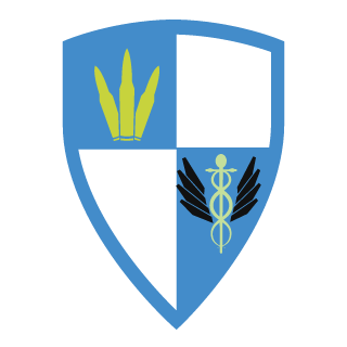 ryus3nshi's emblem