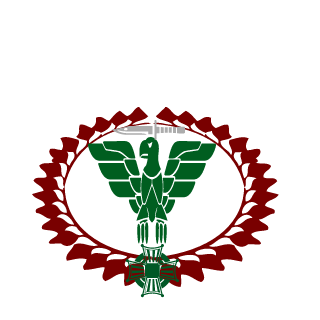 DemolidorSC's emblem