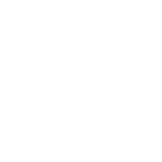 vqdsddt's emblem