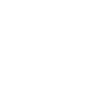 PunkYeet's emblem