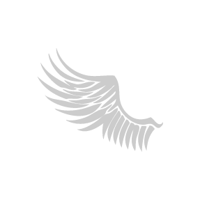 ARG-BeGrip's emblem