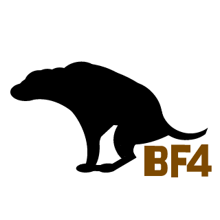 BlackStar221's emblem