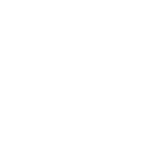 pIRAT_161's emblem