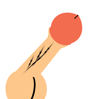 epicvoice's emblem