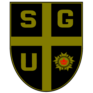 BOSKE67's emblem