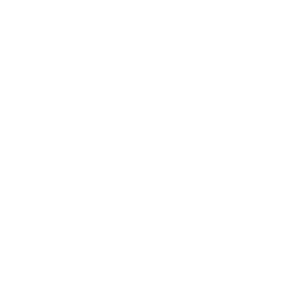metropolis1138's emblem
