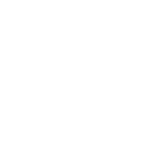 MST-RheeKen's emblem