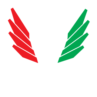 LegenDofBrothers's emblem