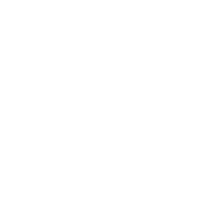 LeeKibitzer's emblem