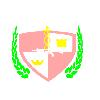 pascu40's emblem