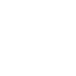 Joni6303's emblem