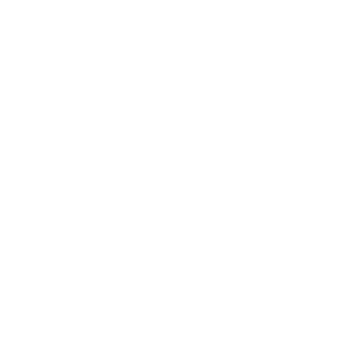 Larsbaer2602's emblem