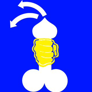 the_great_alllah's emblem