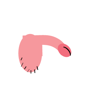 JordiEIninoPola's emblem