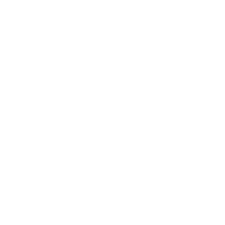 Magnethelm84's emblem