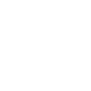QFancy's emblem