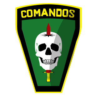 ScacheTTii's emblem