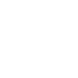 HypronZ's emblem