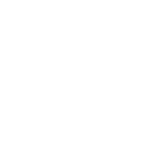 Ruota40's emblem