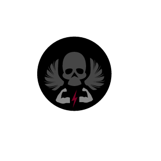 VaychikCorp's emblem
