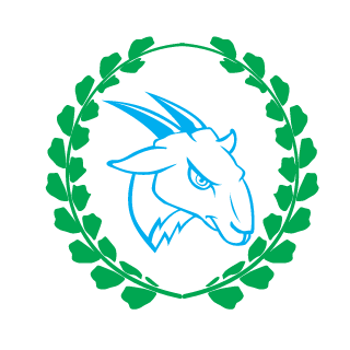 xMikSon's emblem