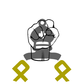 realNF404's emblem