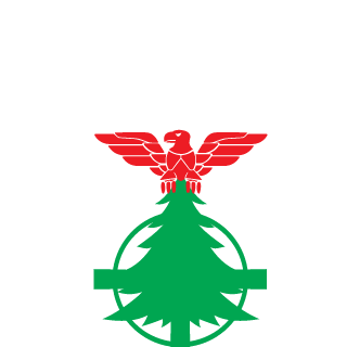 1raq11's emblem