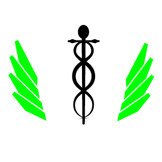 dargdragoon's emblem