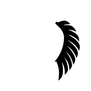 ReaLkinq357's emblem
