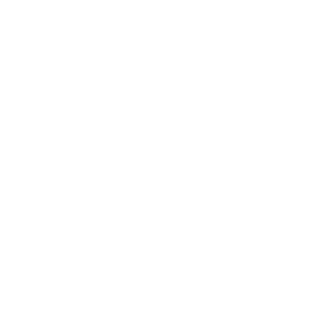 Born_in_SU's emblem