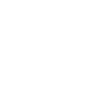 DDG_Bindi's emblem