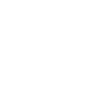 a0dcdfb53fc50ca5's emblem