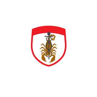 -INA-FetZzo's emblem