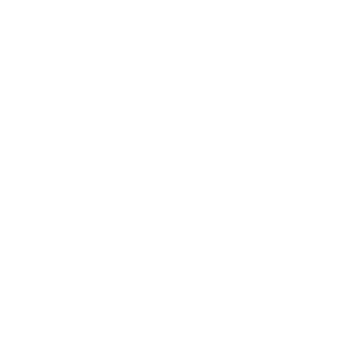 1Flux_'s emblem