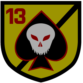 c246c9a5a84df866's emblem