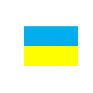 ZorkiB's emblem