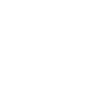 Visar030's emblem
