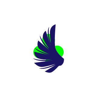 Nicaron1's emblem