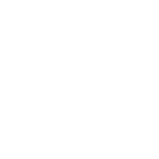 IRON EXILE's emblem