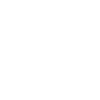 Gapon_BY's emblem